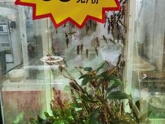 -昆虫窝子·特色云南菜(拓东路总店)