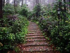 -客乐得玉峰山房车营地