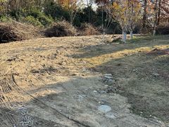 -梁鸿国家湿地公园
