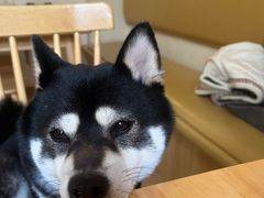 -柴の食堂·日式家庭料理·熊之肆(大学路店)