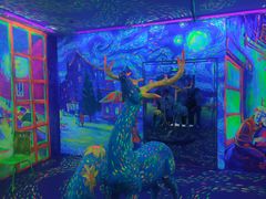 -天津梵高星空艺术馆(天河城旗舰店)