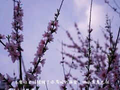 -木渎影视城