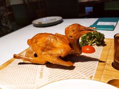 -蕉棠·鸽子餐厅(柳州万象城店)