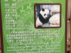 -南宁市动物园