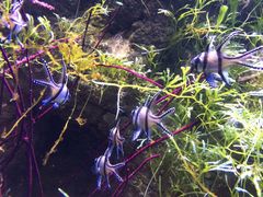 郑州海洋馆-郑州海洋馆