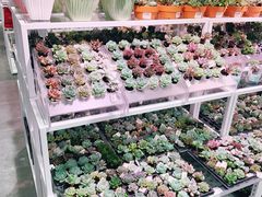 -KKV(深圳宏发大仟里店)