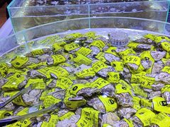 -聚盛源蒸汽海鲜火锅烤肉自助(巨川金海岸购物广场店)