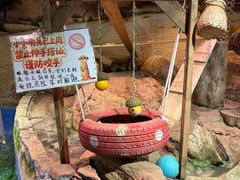 -正佳雨林生态植物园