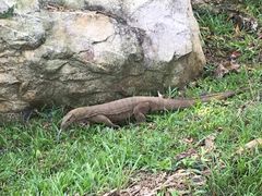 -武吉知马自然保护区