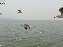 -苏州吴中太湖旅游区