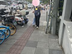 -宋庆龄幼儿园(虹梅路)