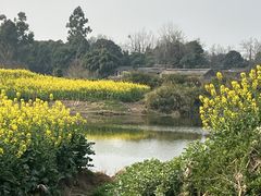 -两河城市森林公园