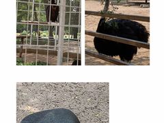 -秦皇岛野生动物园