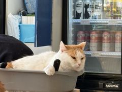 -平行世界·猫咖(首经贸店)