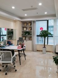 -碧莲盛·不剃发植发