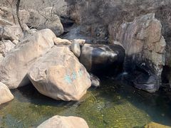 -崂山九水游览区