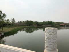 -大兴滨河森林公园