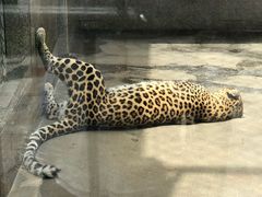 -西安秦岭野生动物园