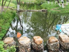 -长白岛森林公园