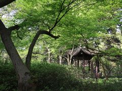 -杭州植物园