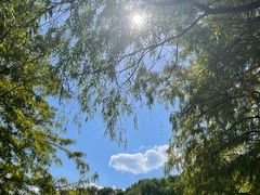 -梁鸿国家湿地公园