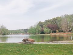 -东方绿舟景区