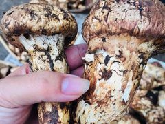 -象山村腊排骨(丽江总店)