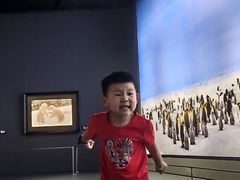 -罗红摄影艺术馆