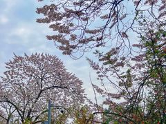 -红星桥(地铁站)