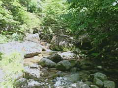 -终南山国家森林公园