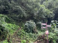 -团城山公园