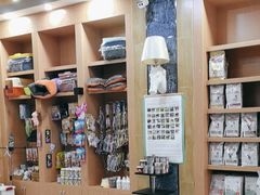 -瑞派名望志远动物医院·猫科·內科·异宠专科(直港大道店)