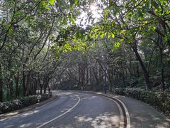 -三水森林公园