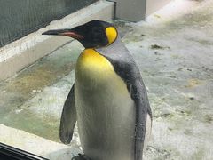 -大连圣亚海洋世界