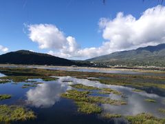 -腾冲北海湿地