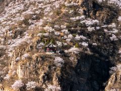 -妙峰山风景名胜区