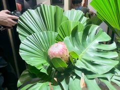 -梵克雅宝(国贸商城店)