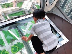 -影汇之星8字形摩天轮