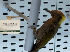 -浙江自然博物院(杭州馆)