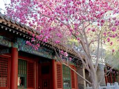 -潭柘寺景区