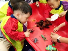 -金宝贝国际早教中心(万象城中心)