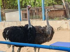 -森林公园(尖草坪区)