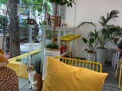 -五进制 Coffee Shop