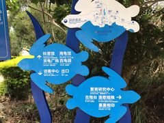 -广东惠东海龟国家级自然保护区