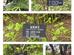 -陕西省西安植物园
