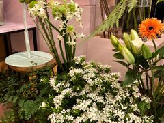 -蝶舍·MAISON PAPILLON