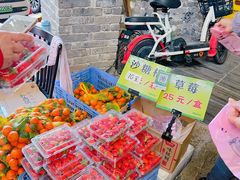 -桃姐农庄老字号(从化温泉店)