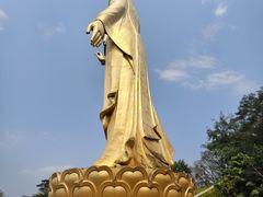 -西双版纳勐泐文化旅游区