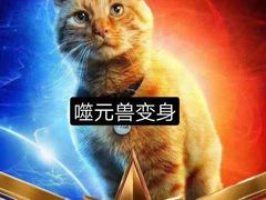 -AMG海上明珠影城(上海环球港RealDCinema店)