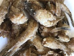 -金海湾海鲜排档(朱家尖店)